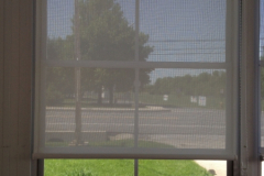 photo_1
