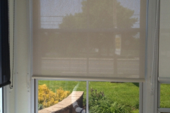 photo_3